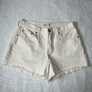 Abercrombie & Fitch The Baggy Lowrise Shorts